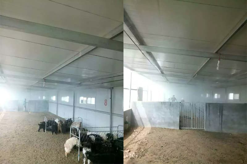 安陽林州羊場消毒項目